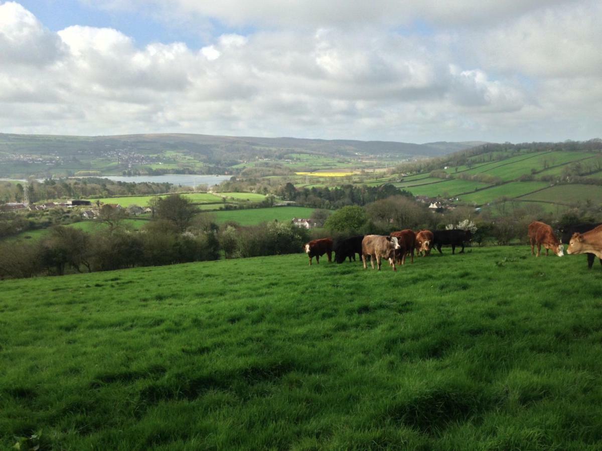 Brinsley Barn Apartment Blagdon Luaran gambar